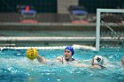 WWPolo vs CC  Wheaton College Women’s Water Polo compete in their sports inaugural match vs Connecticut College. - Photo By: KEITH NORDSTROM : Wheaton, water polo, inaugural